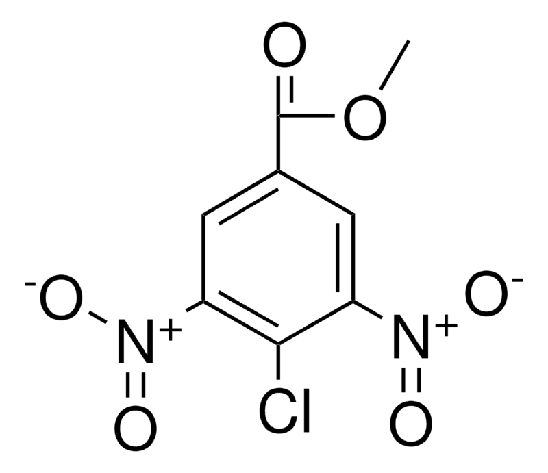 Merck METHYL 4-CHLORO-3,5-DINITROBENZ