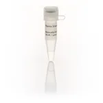 Thermo Fisher Scientific Aminoallyl-dUTP Solution (10 mM)