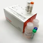 Thermo Fisher Scientific Click-iT RNA Alexa Fluor 488 HCS Assay