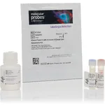 Thermo Fisher Scientific Dead Cell Apoptosis Kit with Annexin V Alexa Fluor 488 & Propidium Iodide (PI), 50 assays