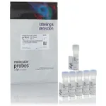 Thermo Fisher Scientific LIVE/DEAD Fixable Violet Dead Cell Stain Kit, for 405 nm excitation, 200 Assays
