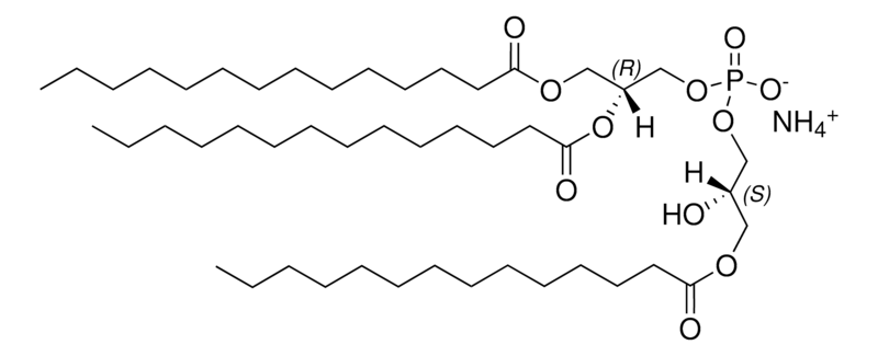 Merck 14:0 Hemi BMP (S,R)