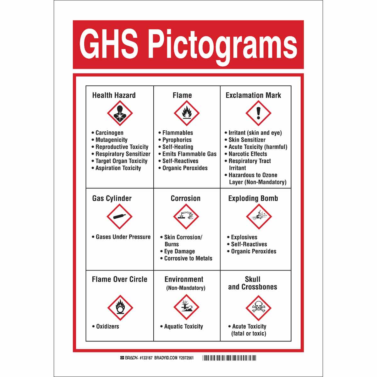 Brady GHS Pictogram Sign