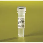 Thermo Fisher Scientific Pierce Universal Nuclease for Cell Lysis