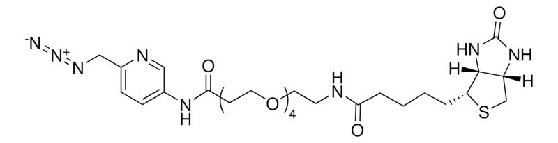 Merck Biotin picolyl azide