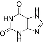 Merck XANTHINE BIOULTRA, >= 99%