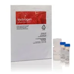 Thermo Fisher Scientific MultiSpeck Multispectral Fluorescence Microscopy Standards Kit (in suspension)