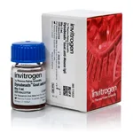Thermo Fisher Scientific Dynabeads Goat Anti-Mouse IgG