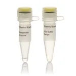Thermo Fisher Scientific Cfr13I (Sau96I) (10 U/μL)