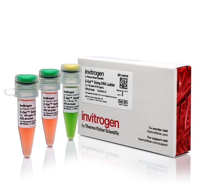 Thermo Fisher Scientific E-Gel Sizing DNA Ladder