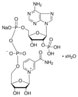 Merck BETA-NICOTINAMIDE ADENINE DINUCLEOTIDE P
