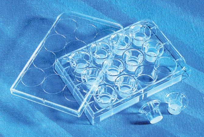 Merck CORNING(R) TRANSWELL(R) POLYCARBONATE M&