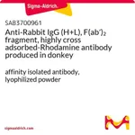 Merck Anti-Rabbit IgG (H+L), F(ab')2 fragment, highly cross adsorbed-Rhodamine antibody produced in donkey