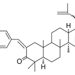 Merck 2-ANISYLIDENELUP-20(29)-EN-3-O - 1 MG&
