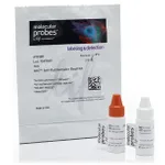Thermo Fisher Scientific AbC Anti-Rat/Hamster Bead Kit