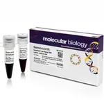 Thermo Fisher Scientific GeneRuler Low Range DNA Ladder, ready-to-use
