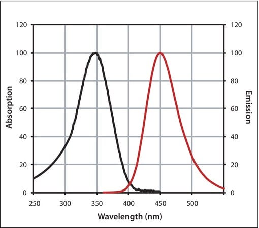 Merck Anti-Guinea Pig IgG (H+L), CF(TM) 350 antibody produced in goat