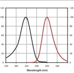 Merck Anti-Guinea Pig IgG (H+L), CF(TM) 350 antibody produced in goat