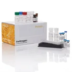 Thermo Fisher Scientific Cytokine 10-Plex Human Panel