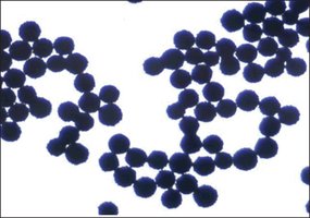 Merck PK30 SUPEL SPHERE CARBON/NH2 6ML SPE &