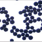 Merck PK30 SUPEL SPHERE CARBON/NH2 6ML SPE &