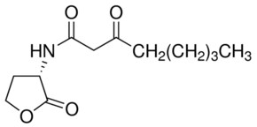 Merck N-(3-OXOOCTANOYL)-L-HOMOSERINE LACTONE