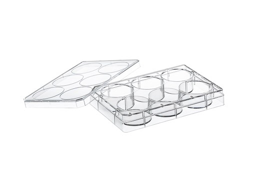 Greiner Bio One CELL CULTURE MULTIWELL PLATE, 6 WELL, PS, CLEAR,CELLCOAT®, POLY-L-LYSINE, LID WITH CONDENSATION RINGS, 5 PCS./BAG