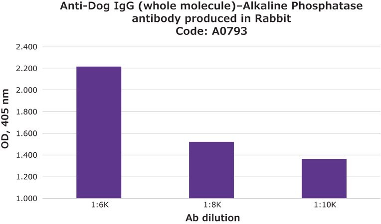 Merck Anti-Dog IgG (whole molecule)-Alkaline Phosphatase antibody produced in rabbit