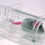 Merck Universal animal restrainer