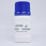 Humabiologics Huma OsteoGelMA- Human Gelatin Methacrylate, Lyophilized (BMHL/BMML)