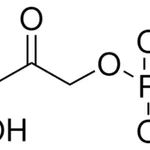 Merck D-Ribulose 1,5-bisphosphate sodium salt hydrate