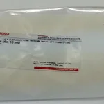 Merck 10 mM DEOXYNUCLEOTIDE MIX MOLECULAR BIO&