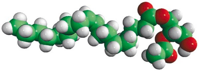Merck 18:1-2:0 DG