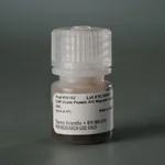 Thermo Fisher Scientific Pierce ChIP-grade Protein A/G Magnetic Beads