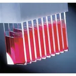 Thermo Fisher Scientific ProbeOn and ProbeOn Plus Slides, ProbeOn Slides
