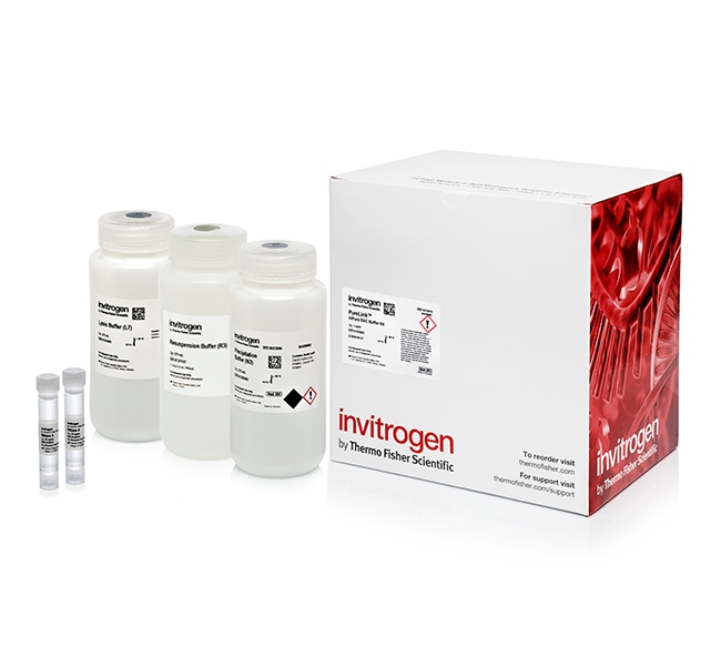 Thermo Fisher Scientific PureLink HiPure BAC Buffer Kit