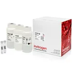 Thermo Fisher Scientific PureLink HiPure BAC Buffer Kit