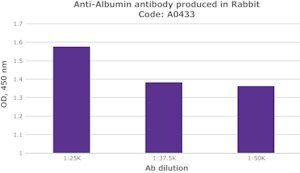 Merck RABBIT ANTI-HUMAN ALBUMIN IGG FRACTION &