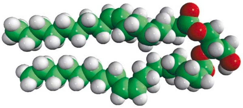 Merck 18:1 DG