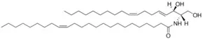 Merck C24:1 CERAMIDE (D18:2(4E 8Z)/24:1(15Z))