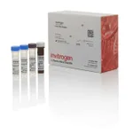 Thermo Fisher Scientific Ghrelin Human ProcartaPlex Simplex Kit