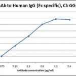 Merck Anti-Human IgG (Fc specific) antibody, Mouse monoclonal