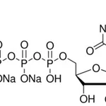 Merck CYTIDINE 5``-TRIPHOSPHATE DISODIUM SALT