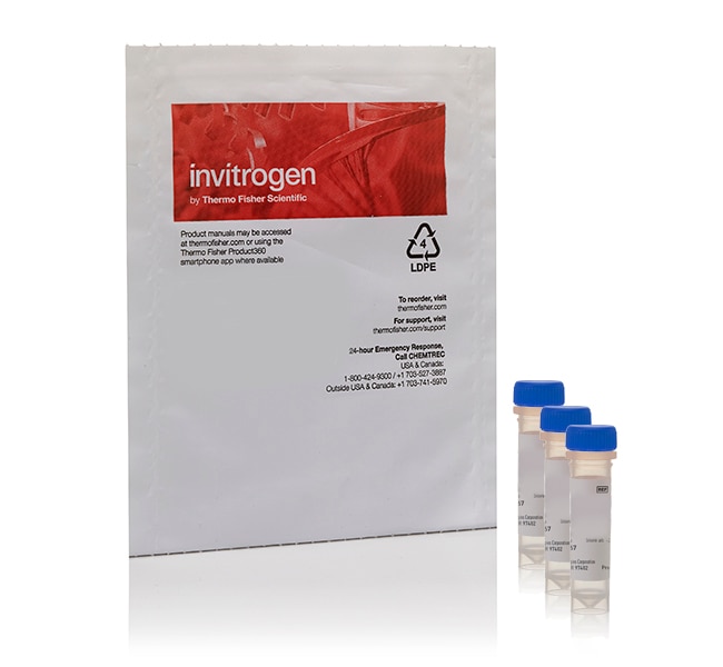 Thermo Fisher Scientific NeuroTrace Multicolor Tissue-Labeling Kit - DiO, DiI, DiD pastes, 500 mg each