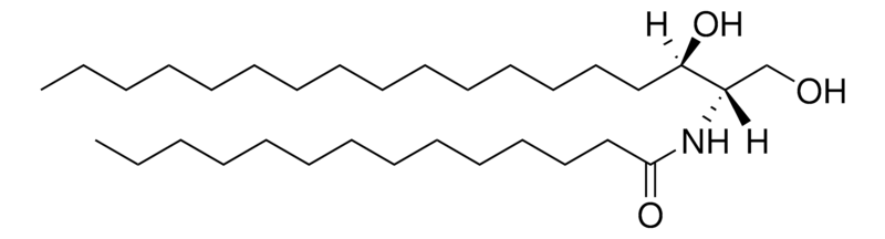 Merck C14 dihydroceramide (d18:0/14:0)