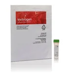 Thermo Fisher Scientific pHrodo Green Maleimide