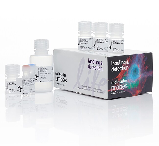 Thermo Fisher Scientific Click-iT Plus EdU Alexa Fluor 350 Flow Cytometry Assay Kit