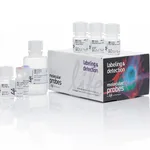 Thermo Fisher Scientific Click-iT Plus EdU Alexa Fluor 350 Flow Cytometry Assay Kit