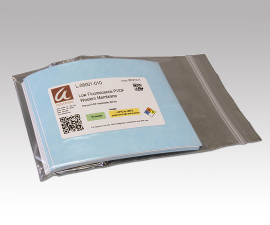 AS ONE Weatern Membrane Low Fluorescence PVDF, 웨스턴브롯팅용 멤브레인