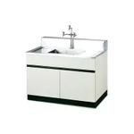 Laboratory Sink Table 목재형 실험실용 싱크대, Stainless Steel Plate & Bowl